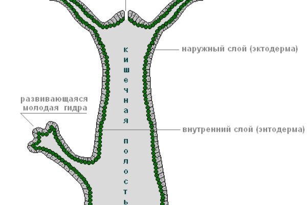 Кракен что это такое наркотики