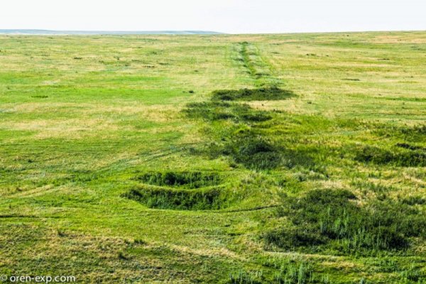 Кракен сайт в тор браузере ссылка