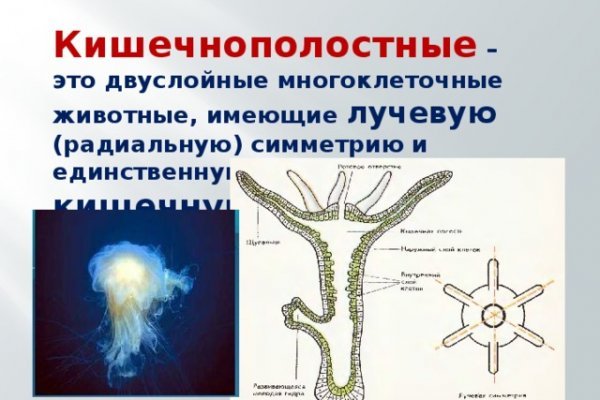 Какая ссылка на кракен