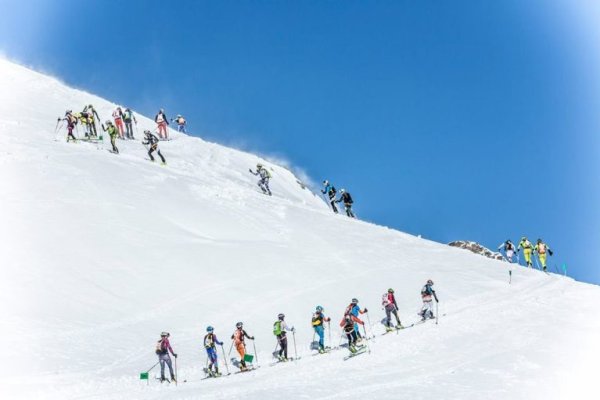 Как закинуть деньги на кракен