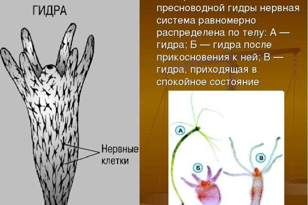 Ссылка на кракен официальный